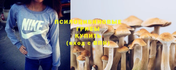 не бодяженный Дмитров