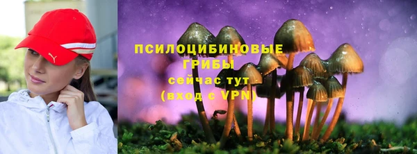 ALPHA PVP Ельня