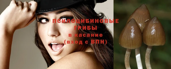 не бодяженный Дмитров