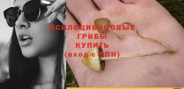 спайс Дмитровск