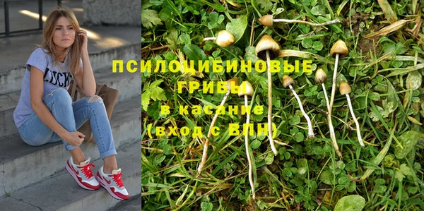 не бодяженный Дмитров