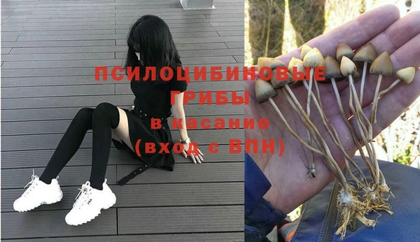 не бодяженный Дмитров